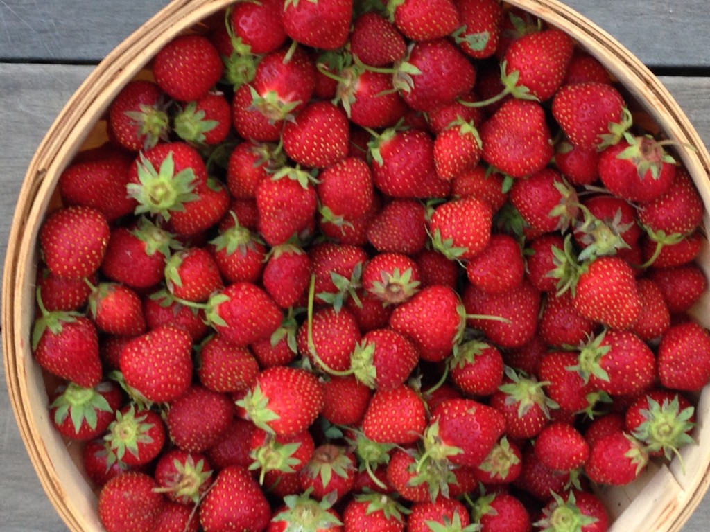 strawberries basket 6_27