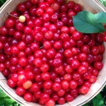 cherries basket