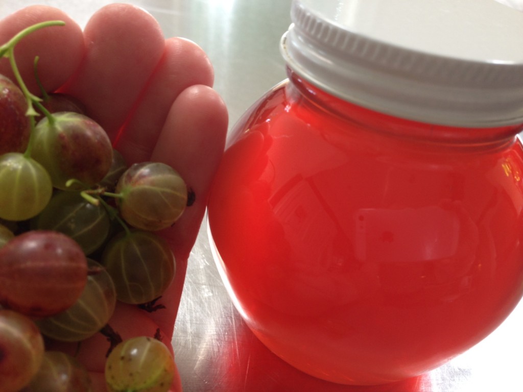 gooseberries plus time and heat equals gooseberry jelly
