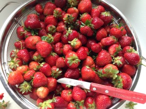 Strawberries from the Berry Farm in Chatham, NY