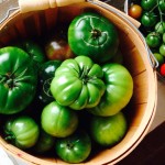 fresh green tomatoes for making fried green tomatoes